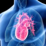 Easy Ways to Protect Your Heart Daily