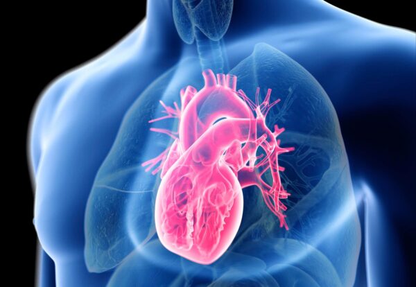 heart3