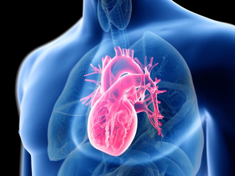 heart3